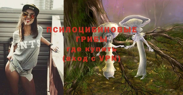 герыч Вязьма