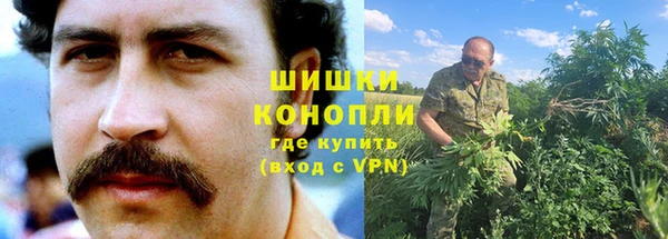 СК Вяземский