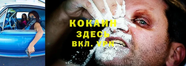 СК Вяземский